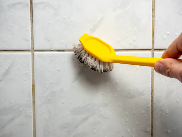 Best Office Mold Removal Services  in Mahopac, NY