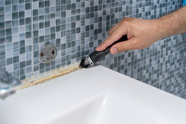 Best Best Mold Removal Companies  in Mahopac, NY